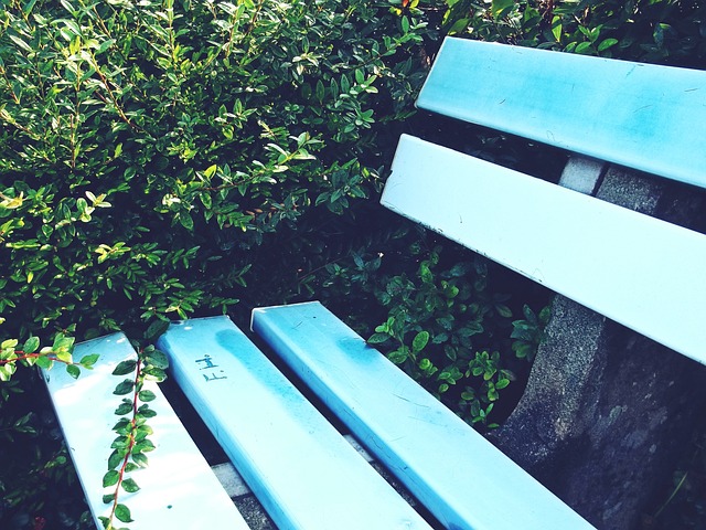 而快艇在这 而快艇在这