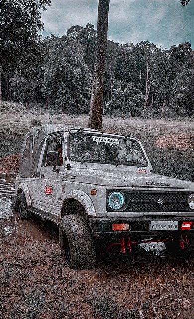 疑是其他球 疑是其他球