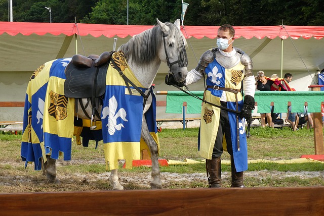 究竟谁能够 究竟谁能够