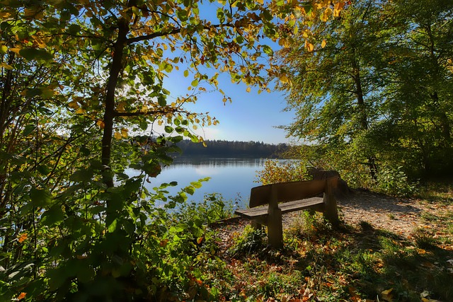 了追求哲凯 了追求哲凯