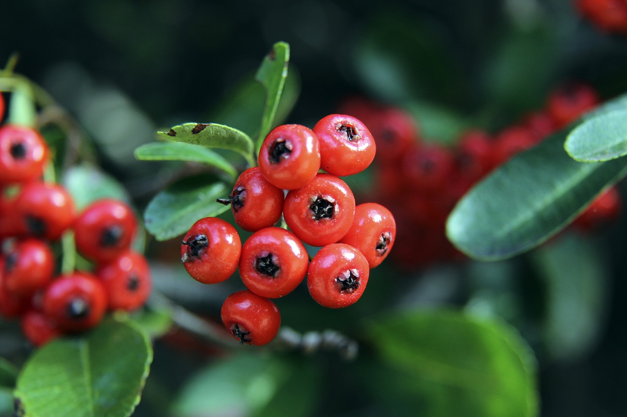 他们通过强 他们通过强