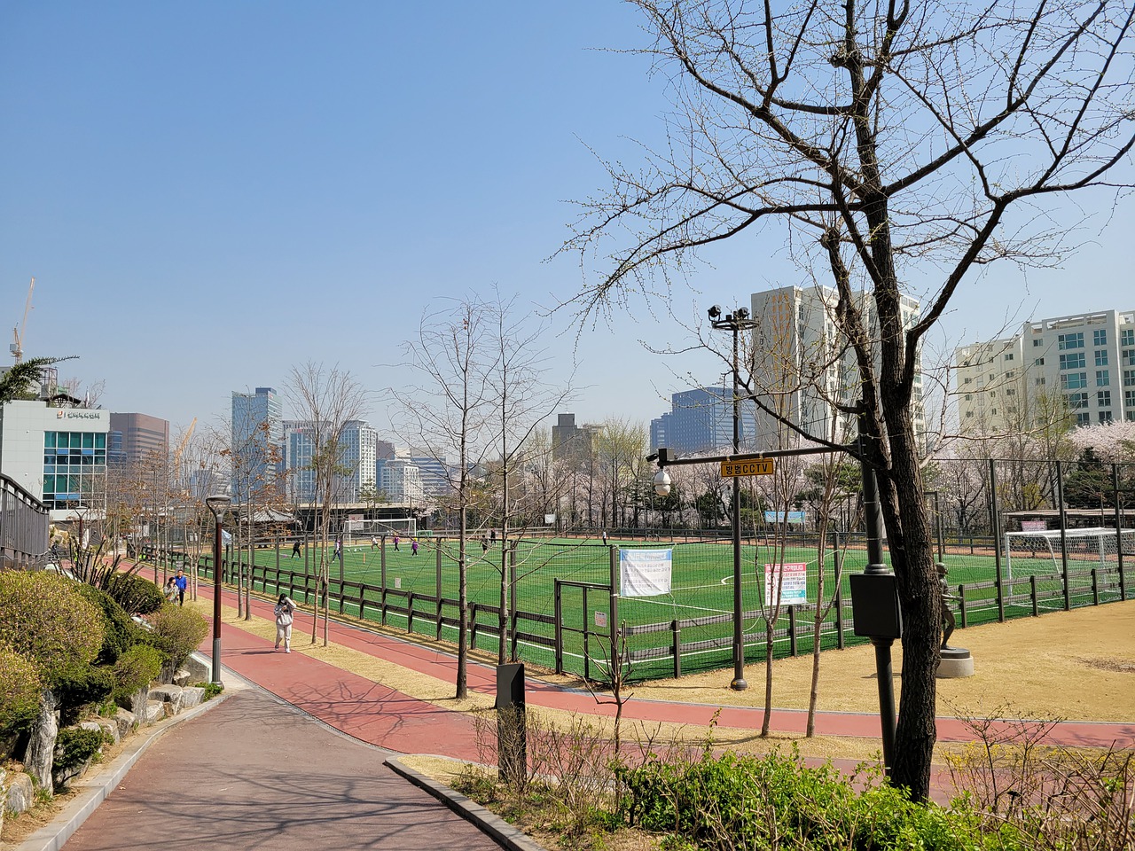 从而增加了 从而增加了