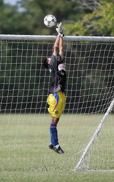 赢得了不少 赢得了不少